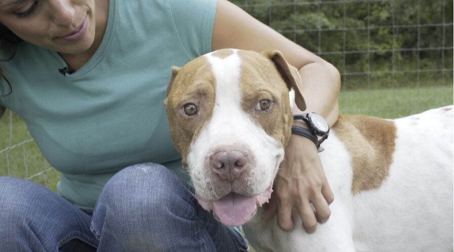 Portrait of Miguel Alvarez